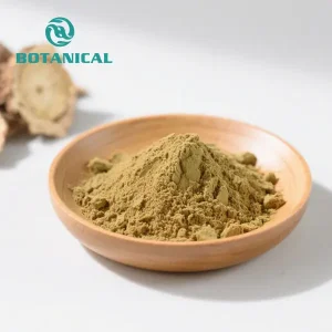 High-Quality Natural Isatis Root Extract Powder