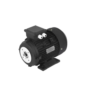 Hollow Shaft Motor