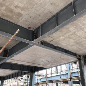 Light Steel Structure High Rise