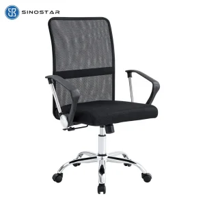 Ergonomic Office Chair with Orthopedic Support