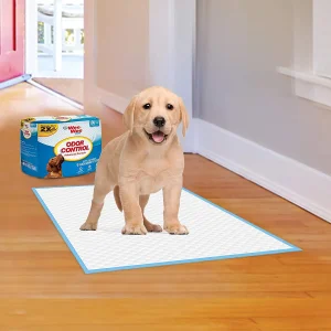 Puppy Training Pad
