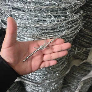 Marine-Grade Anti-Corrosion Coastal Protection Barbed Wire