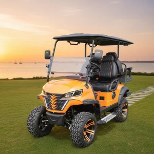 Bestselling Chinese Electric Golf Cart Luxury Seats