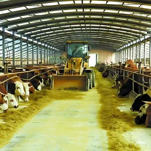 Modern Design Large Span Livestock Farm House Metal Frame Prefabricated Light Steel Frame Steel Structure Construction Pig Sheep Goat Cattle Cow Shed Building