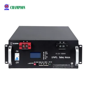 Champion 5kwh 10kwh 51.2v 100ah Rack Mounted ESS