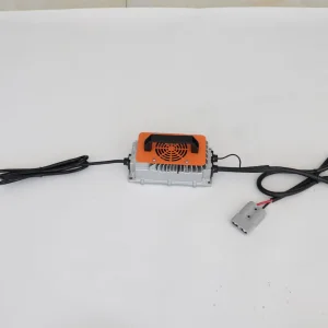 60V 15A Input 110V AGM Battery Charger for Lvtong Golf Cart