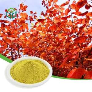 Premium Fisetin Extract