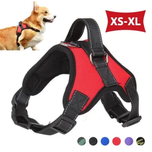 Saddle Harness