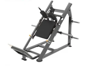 Hot Sale Commerical Strength Plate Loaded Machine Free Weight Hack Squat