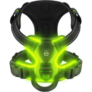LED Dog Harness