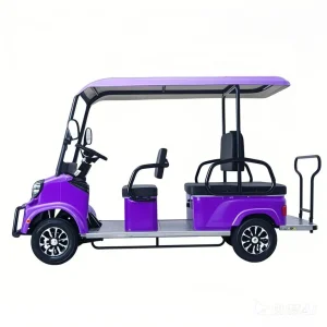 2 Seater Golf Cart