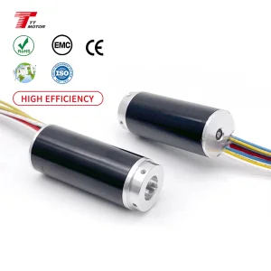 TT Motor Supplier 16mm Long Lifetime  Bldc  Electric Motor Coreless Motor Good Production Factory