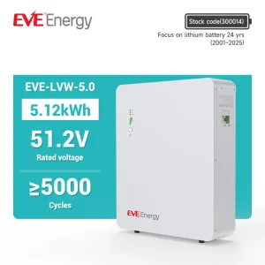 Eve 5kwh 100ah 51.2V Home Energy Storage System Wall Mounted Battery Solar Power Storage System