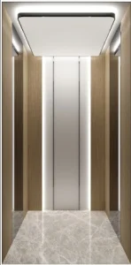 1-2m/S General Home Passenger Lift Elevator
