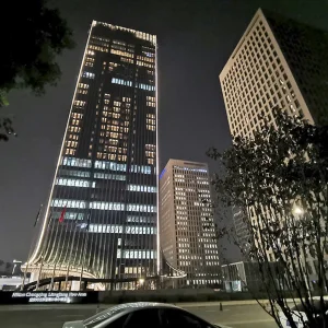 Hilton Chongqing Liangjiang New Area Hi-Tech Hotel-Art Chandelier