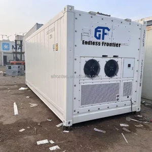 High-Capacity 40ft Refrigerated Shipping Reefer Container with Dual Fresh &amp; Frozen Zones for Multi-Commodity Across Continents