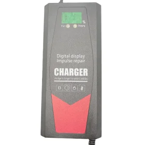 48V50ah Charger