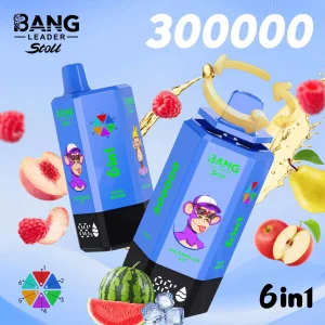 Bang Leader Stoll 300K 6in1