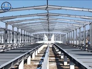 Quickly Construct Steel Structure Warehouse with Metal Framework