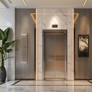 Compact Villa Traction Lift for Home Accessibility Solutions