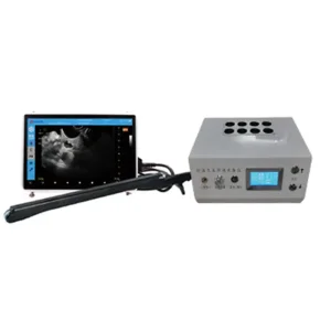 Veterinary Ultrasound