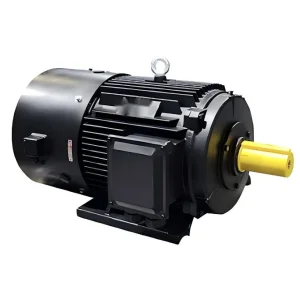 CE/ISO9001 Approved 55kw 60HP 3000rpm Three-Phase Permanent-Magnet Pmsm Electric Motor for Air-Compressor