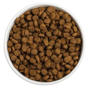 Wholesale High Protein Dry Dog Food