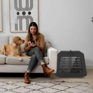 Azure PDT Infrared Pet Health Device