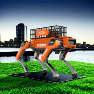 Cloud Platform Robot