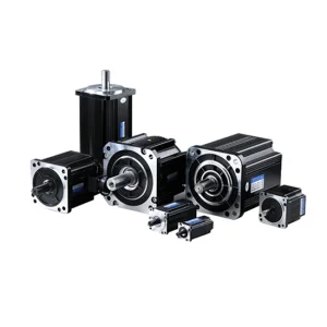Custom BLDC Servo Motor