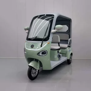 China Electric Tricycle DS-2