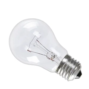 Incandescent Bulb 110V 220V