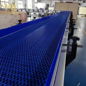 Customizable Snacks Plastic Modular Belt Conveyor Systems for Efficient Food Beverage Industrial Production Lines