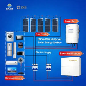 Solar Panel Complete Kit Solis 5KW 8KW 10KW 15KW 16kwh/Day Home Battery Systems Lifepo4 Solar Battery Solar Energy System