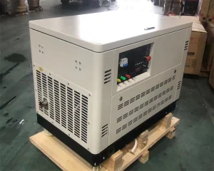Portable Dual Fuel Generator For Home Use Start Auto LPG LNG Gas Dual Fuel Generator For Syngas Biogas