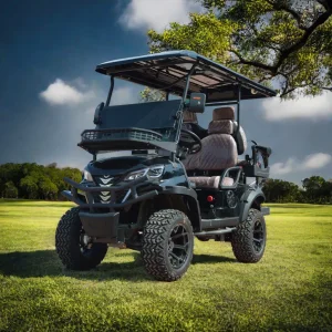 48V Electric Golf Cart Legal Street 4-Seater off-Road Excellent Attractive Appearance