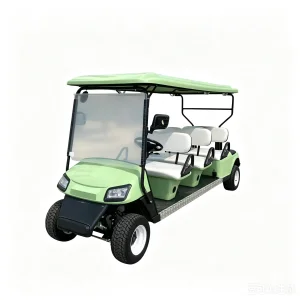 Customized Luxury Golf Cart