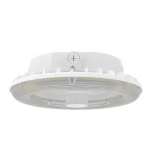 Zhaga Canopy Illumination 45W 70W 100W 150W 240W Commercial Lighting Parking Garages Gas Stations Fixture LED Canopy Light