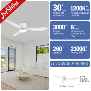 1stshine Korea Flush Mount Ceiling Fan