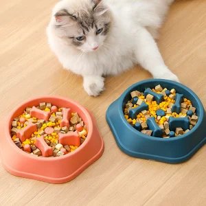 Environmentally Friendly Non-Toxic Slow Feeding Bowl