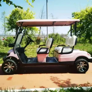 Used Electric 6-Seater