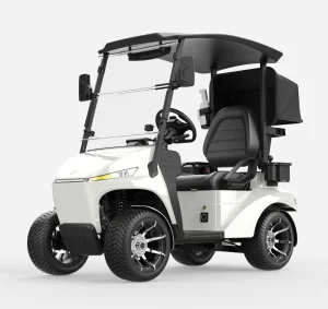 Wholesale Smart GPS Golf Cart Fleet Custom APP Multimedia Single Seat Golf Buggy OEM Personal Electric Golf Utility Vehicle
