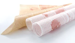 Non Stick Parchment Paper for Baking, Greaseproof Burger & Fried Sandwich Wrapping, Absorbent Food Grade Baking Sheets