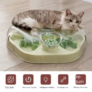 Classic Interactive Treat Box Maze Toy