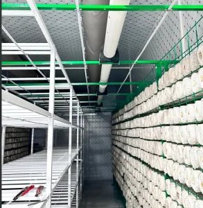 Mushroom Growing Room