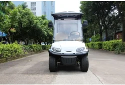 2025 New Wholesale High Quality 2 Seats Electric Freight Cargo Box