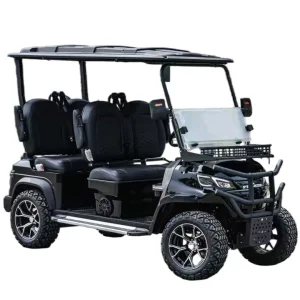 Four Passenger Electric Golf Cart for Hotel Resort Airport and Campus