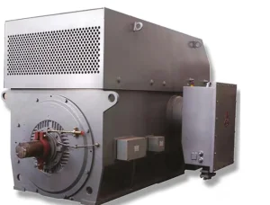 CE Wolong YAKK YAKS High Voltage Motor