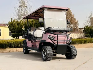 Luxury 6 Seater off Road Electric Golf Cart