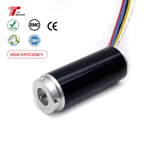 Custom OEM High Torque Mini 12V 24V 48v